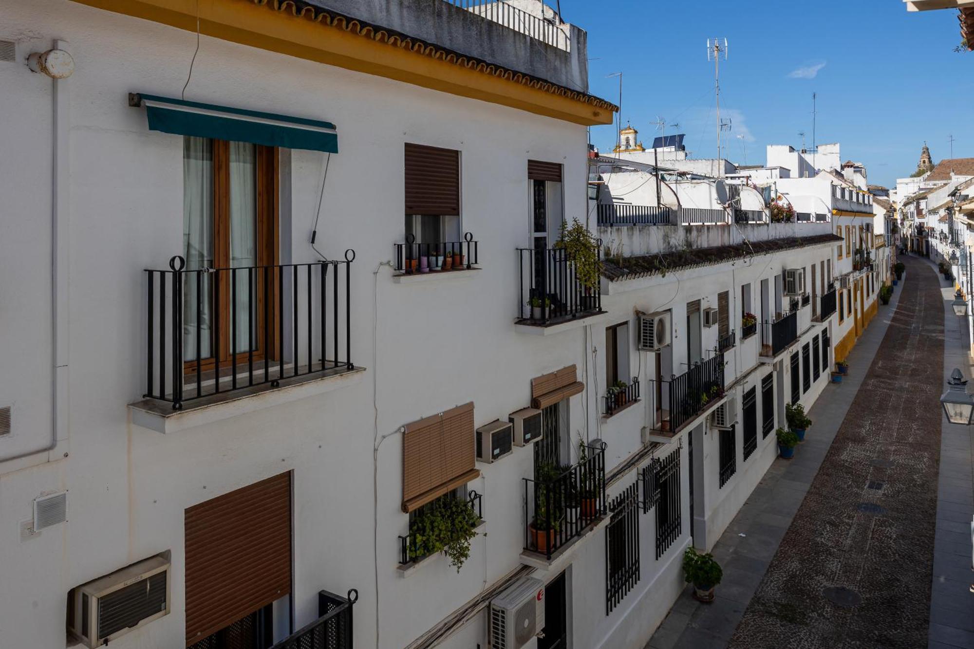 Apartamento Flores De San Basilio