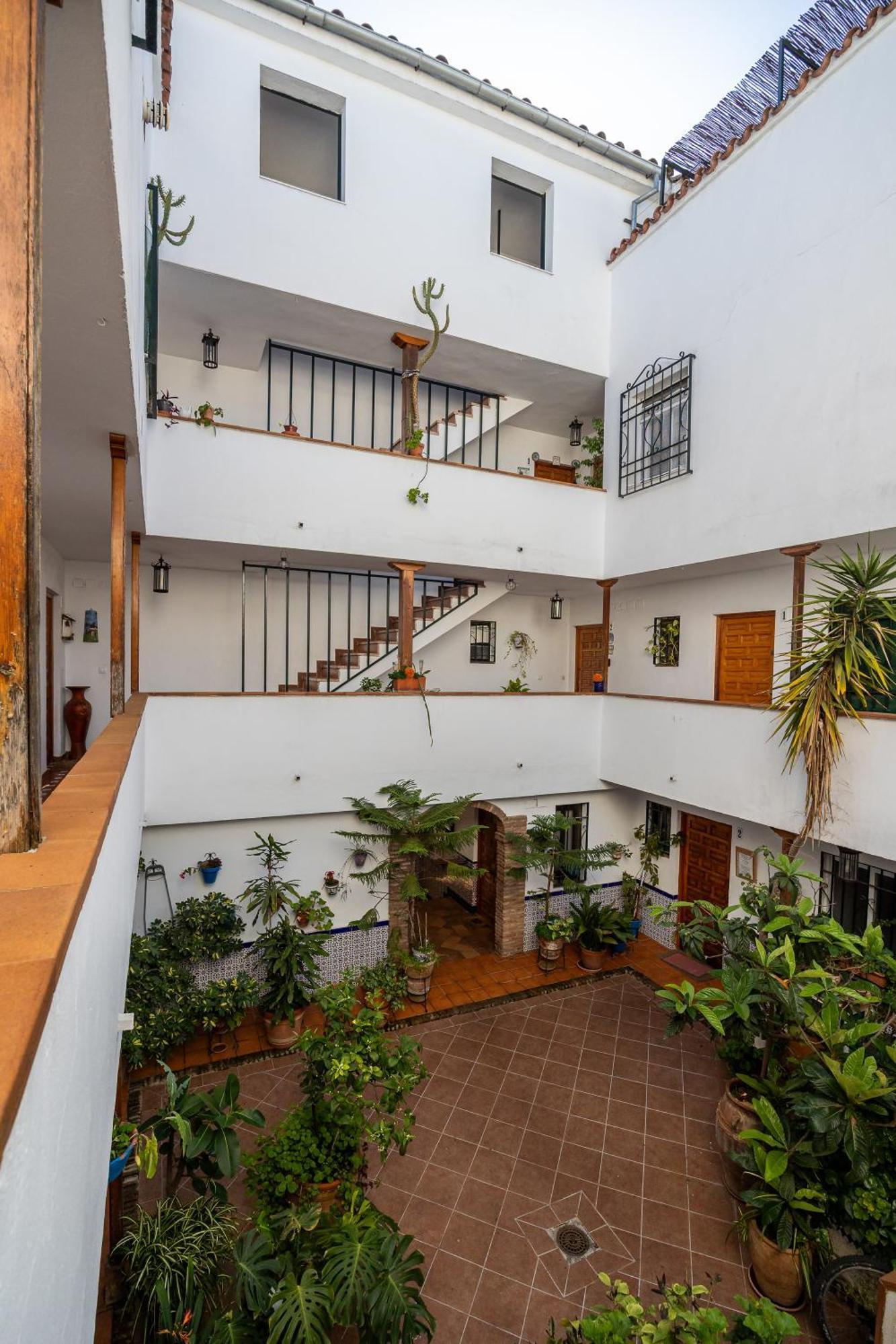 Apartamento Flores De San Basilio *
