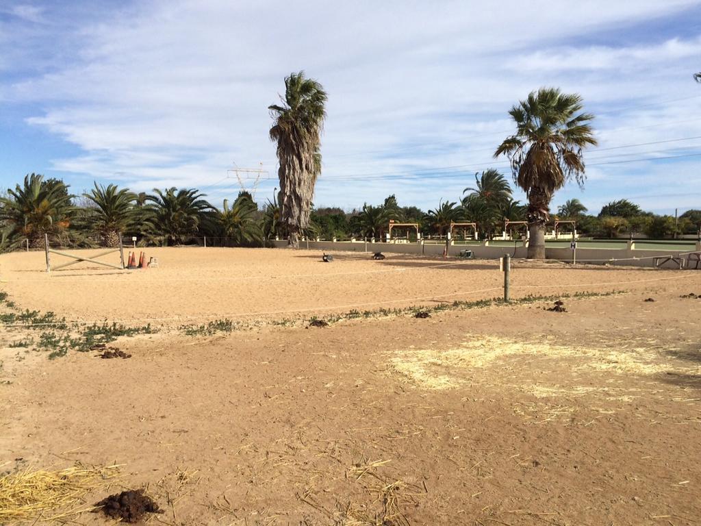 Hotel El Rancho Montesinos - Torrevieja 2*