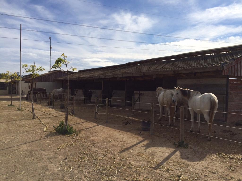 El Rancho Montesinos - Torrevieja Los Montesinos