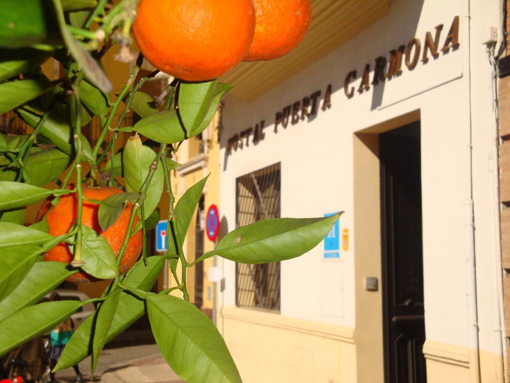 Guest house Puerta Carmona 2*