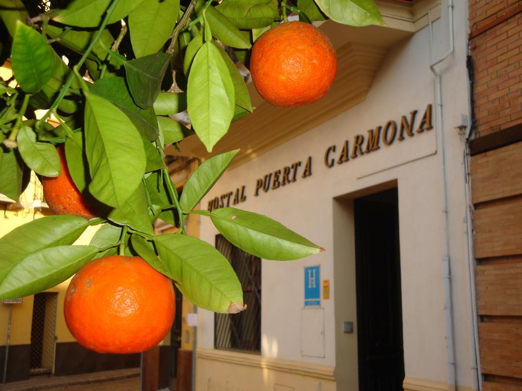 Puerta Carmona 2* Seville