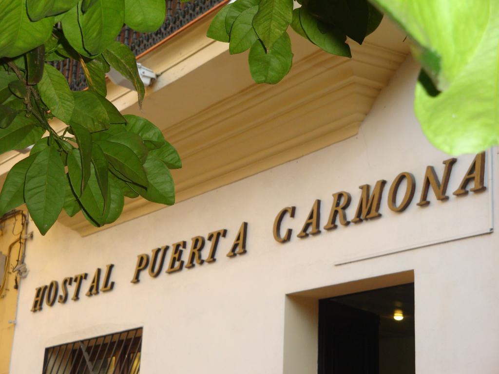 Guest house Puerta Carmona 2*
