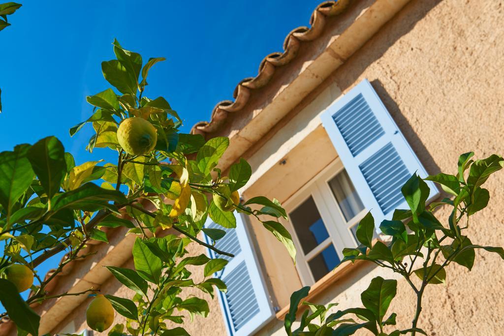 Protur Residencia Son Floriana Hotel Cala Bona (Mallorca)