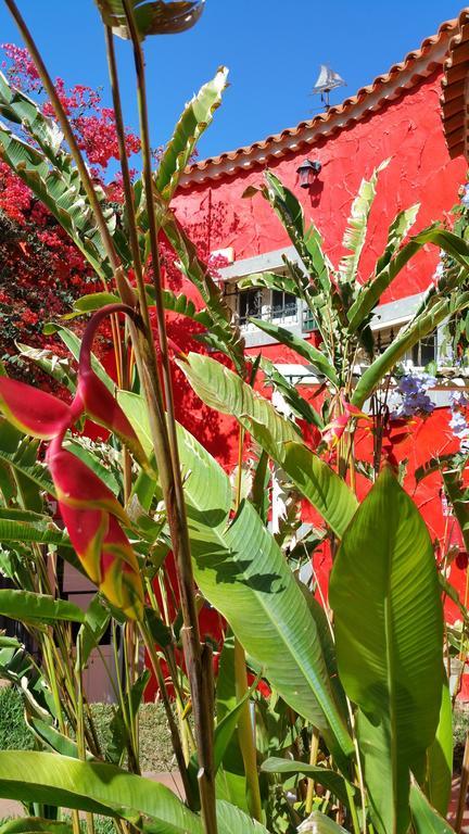 Hotel Pasion Tropical - Gay Only (adults Only)