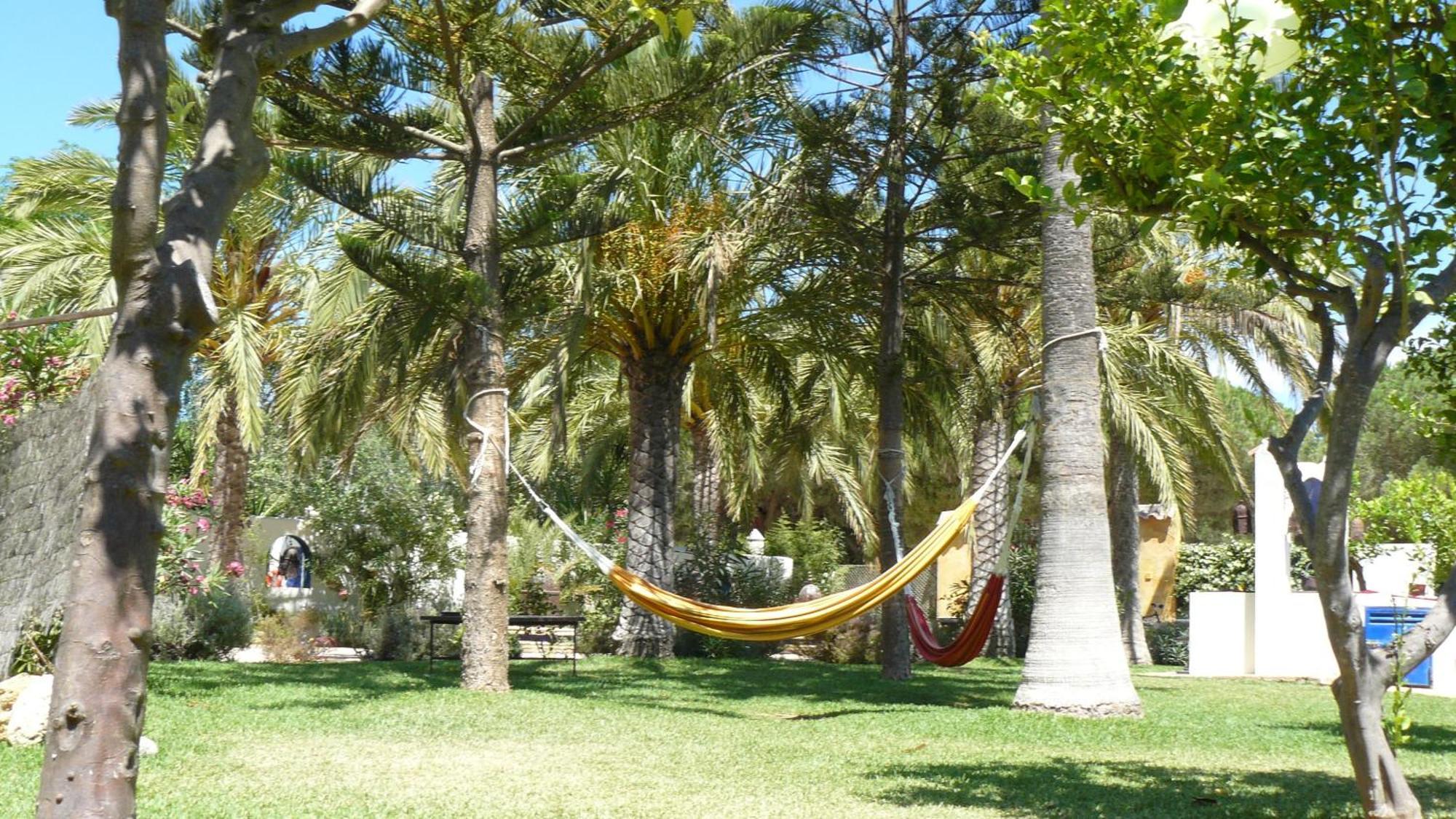Paraiso Perdido