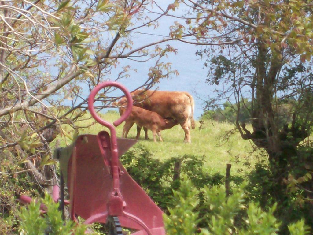 Country house Agroturismo Donibane Itziar