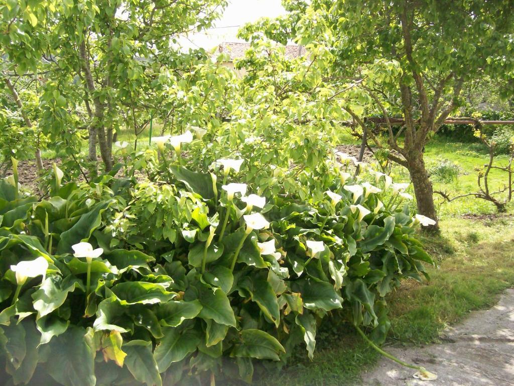 Agroturismo Donibane * Itziar