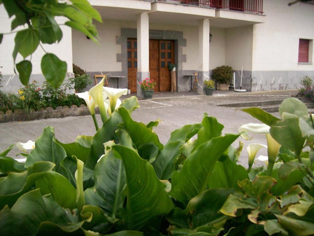 Agroturismo Donibane Itziar