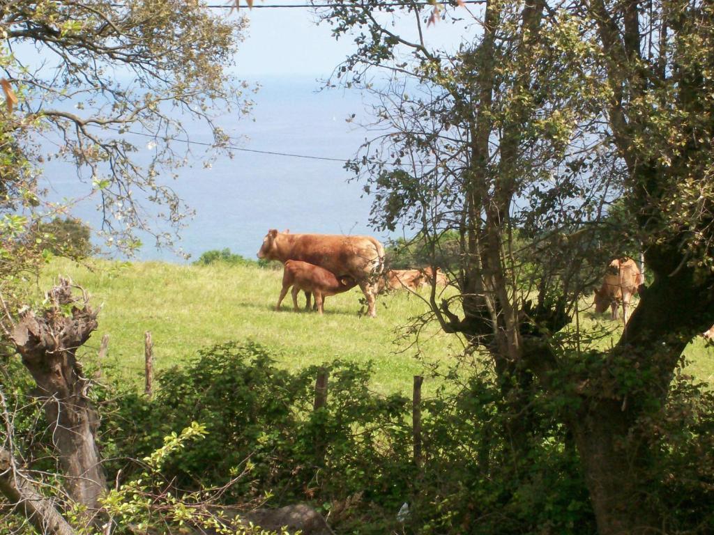 Agroturismo Donibane Country house