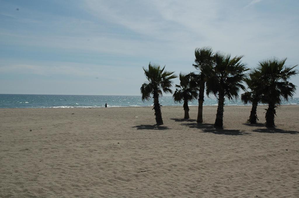 Estival Vendrell Platja 5* Coma-ruga