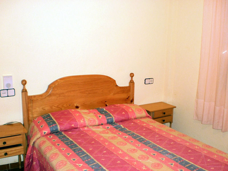 Hibiscus 3*