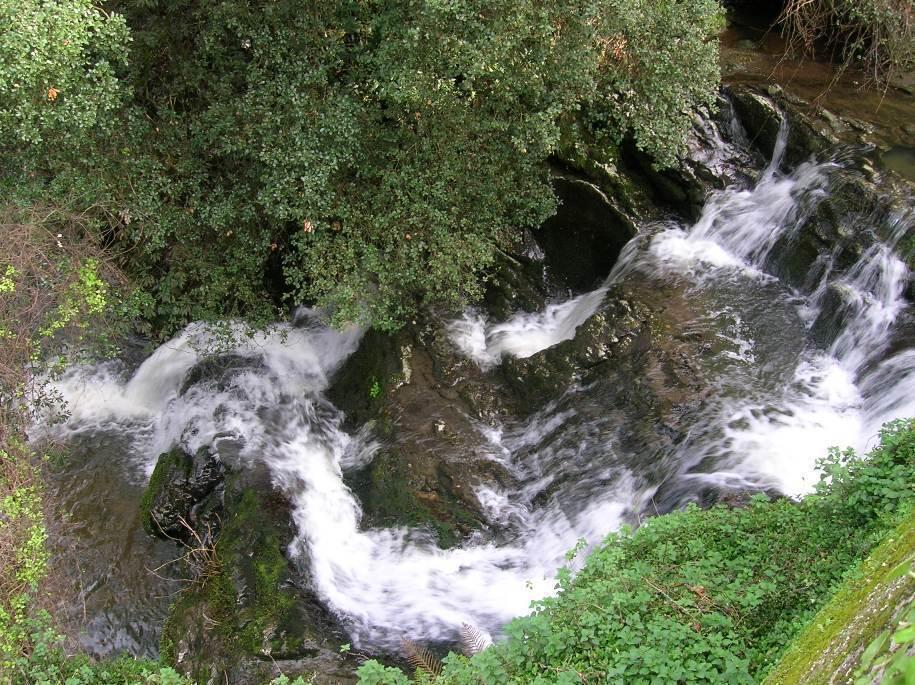 El Pontarron