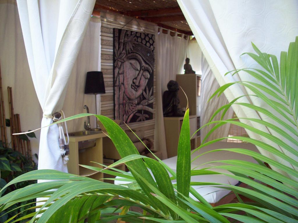 Pasion Tropical - Gay Only (adults Only) Playa del Águila