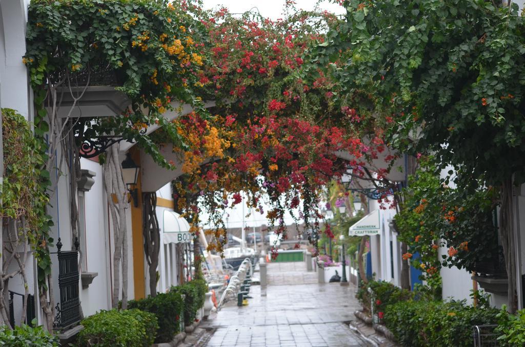 Guest house Playa