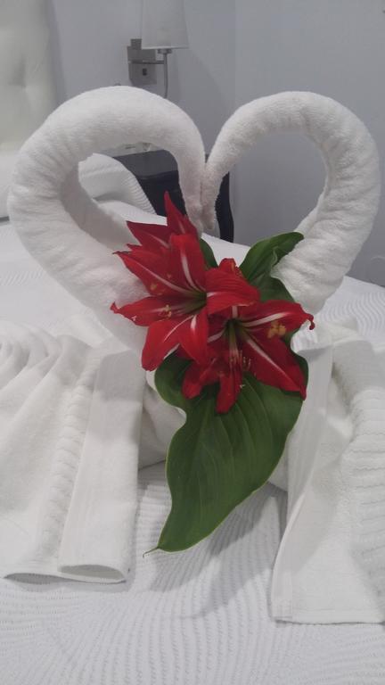 Guest house Boutique Bajamar