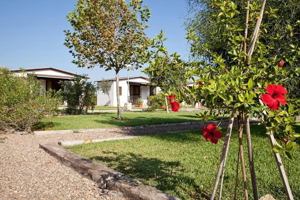 Country house Alojamiento Cortijo El Caserio Conil De La Frontera