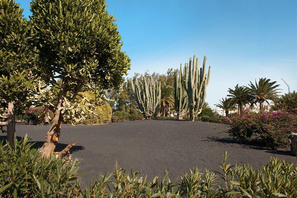 Hotel Relaxia Olivina Puerto del Carmen (Lanzarote)
