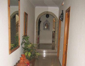 Tarantelo Conil