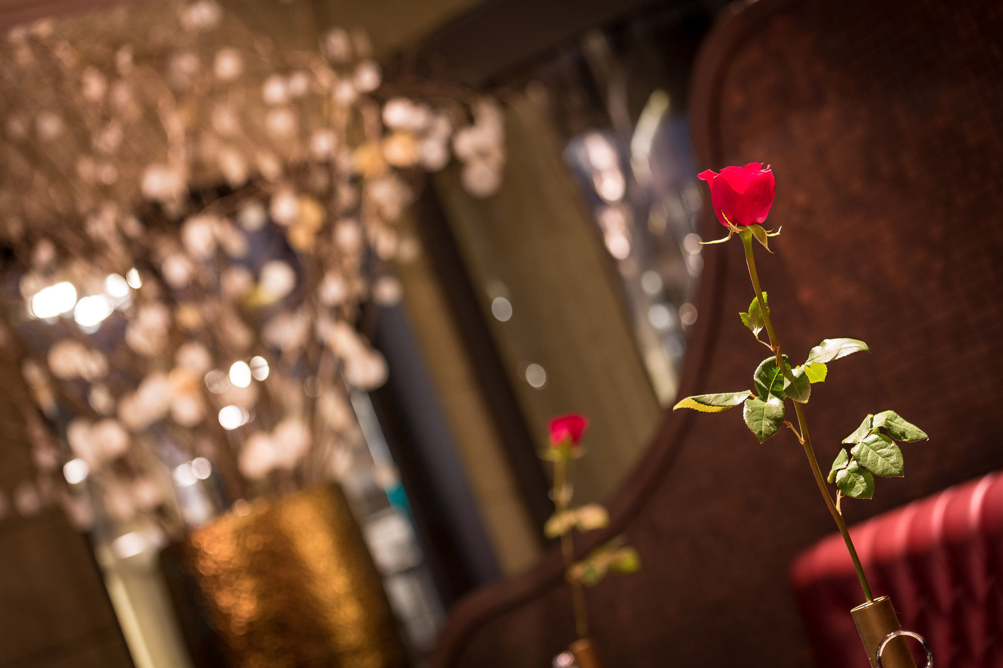 Hotel Bagues, A Small Luxury Of The World 5*