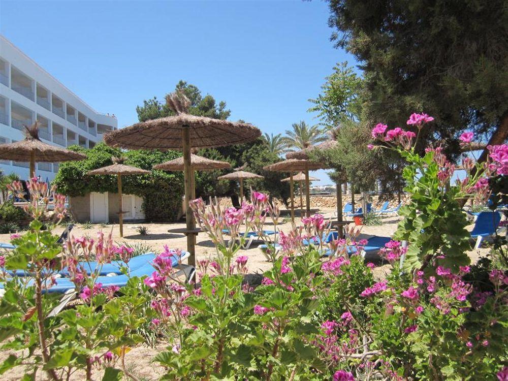 Ses Savines 3* San Antonio (Ibiza)