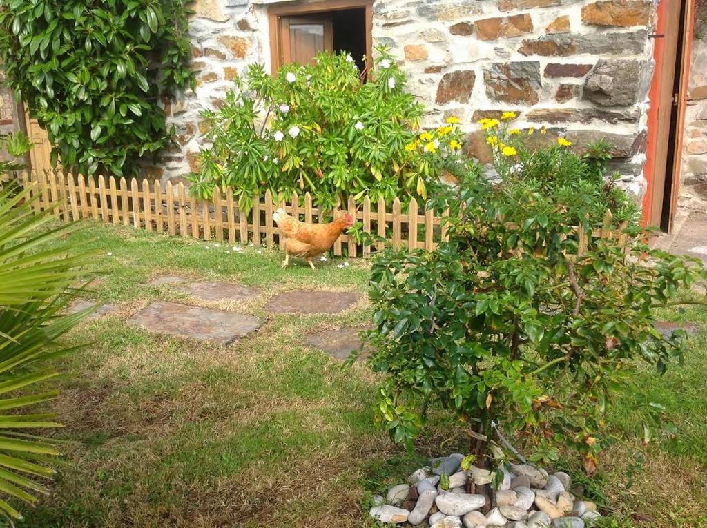 Ca Luis Encarnita Holiday home Salamir
