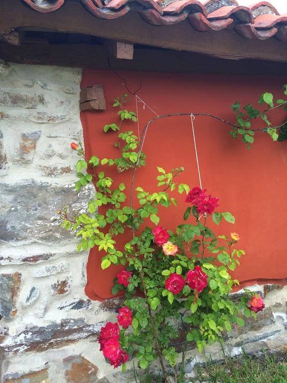 Ca Luis Encarnita Holiday home Salamir