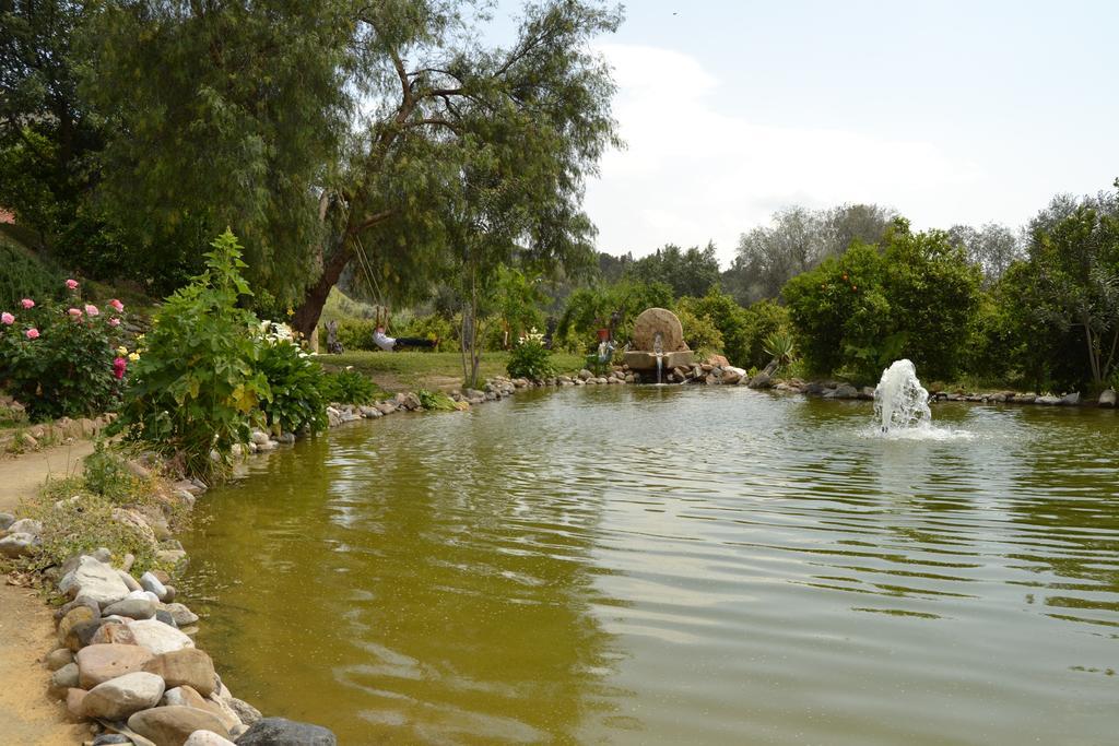 Finca La Moraleda Holiday home