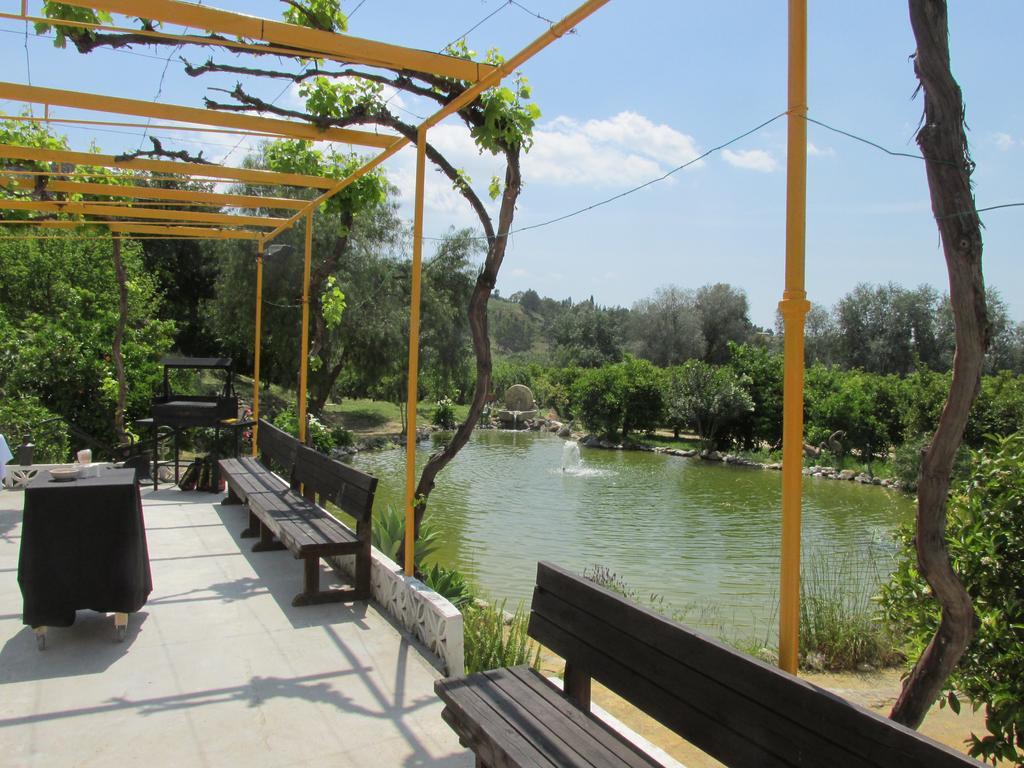 Finca La Moraleda Holiday home