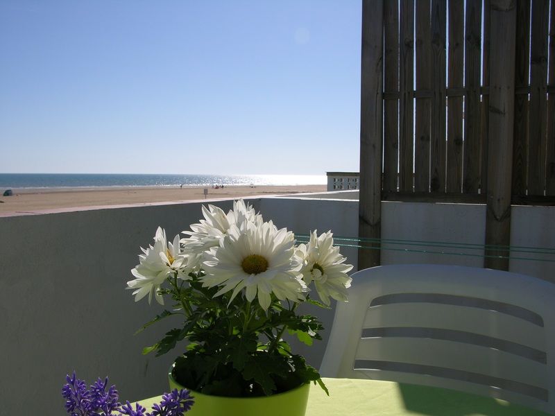 Calypso Apartment