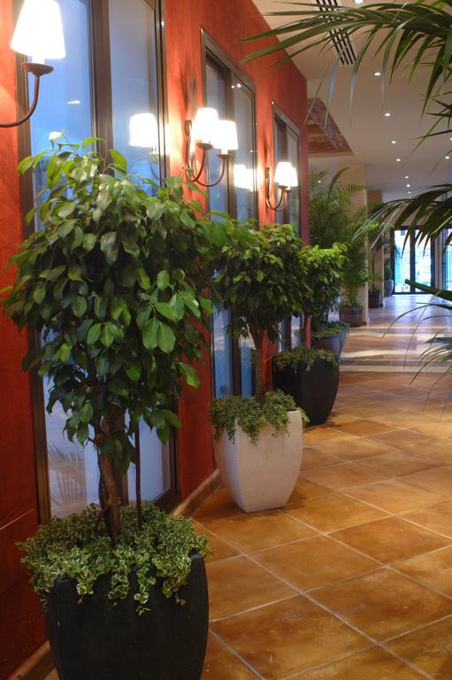 Apartahotel Albayt &