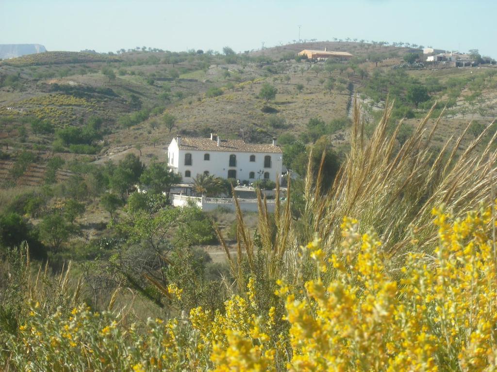 Hotel Sibileys