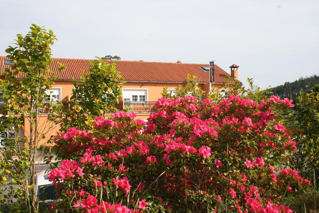 Guest house Pereirina