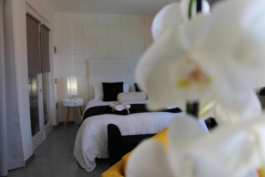 Pasion Tropical - Gay Only (adults Only) 3*