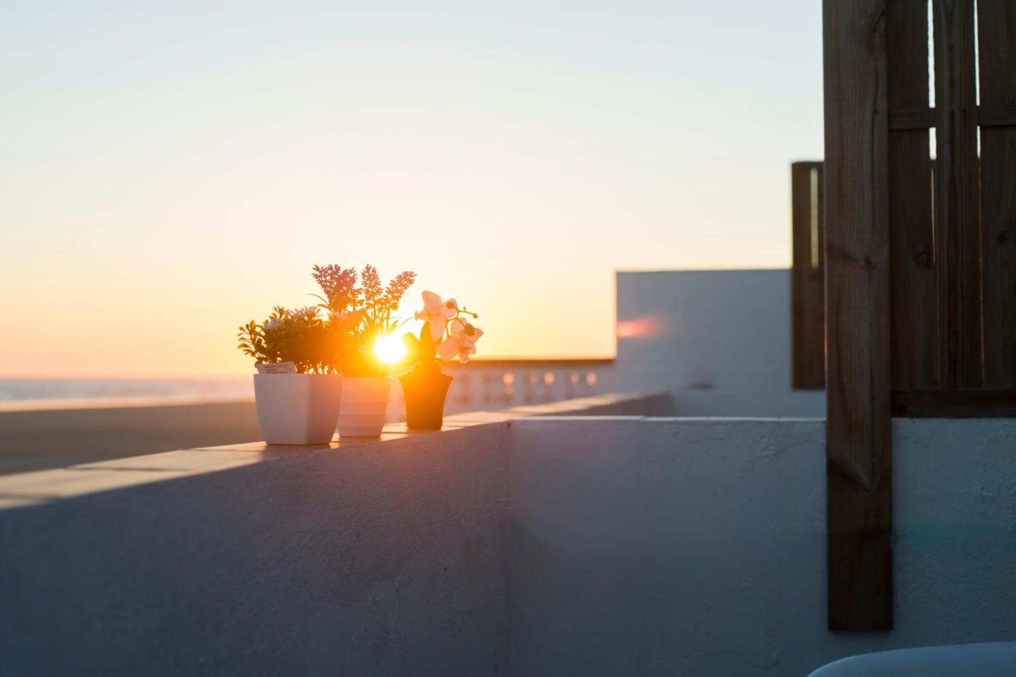 Calypso Apartment *