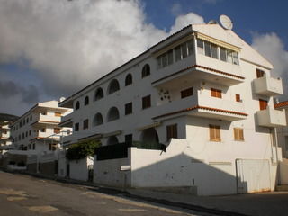 Hibiscus 3*