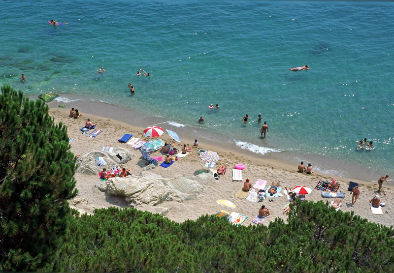 Estrella De Mar Youth *