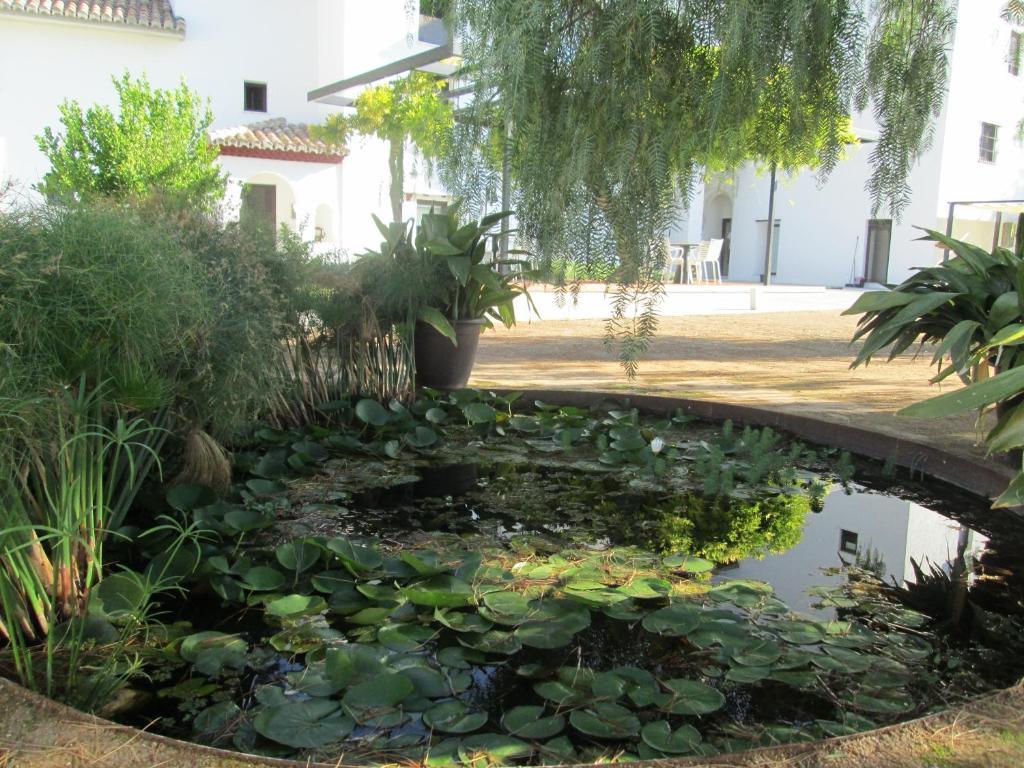 La Marquesa