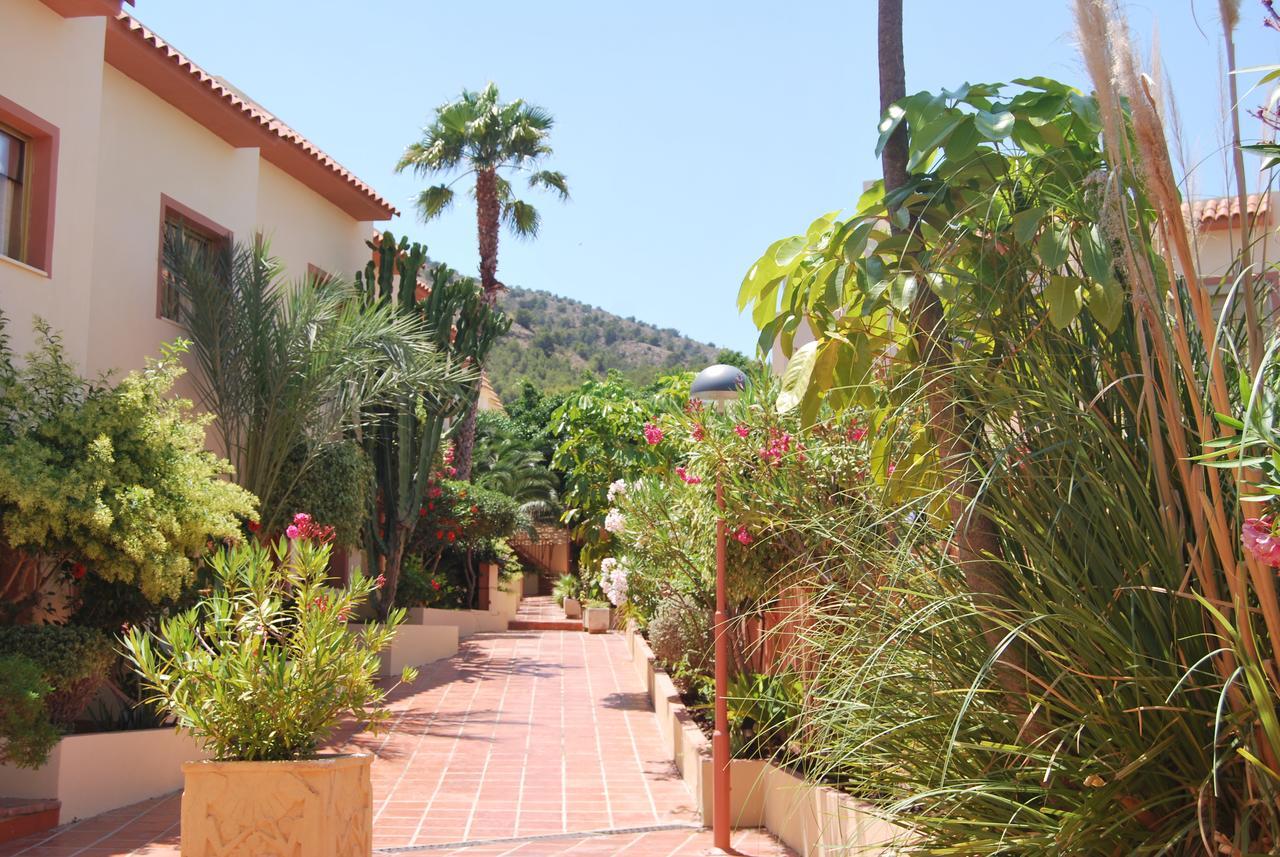 Albir Hills *