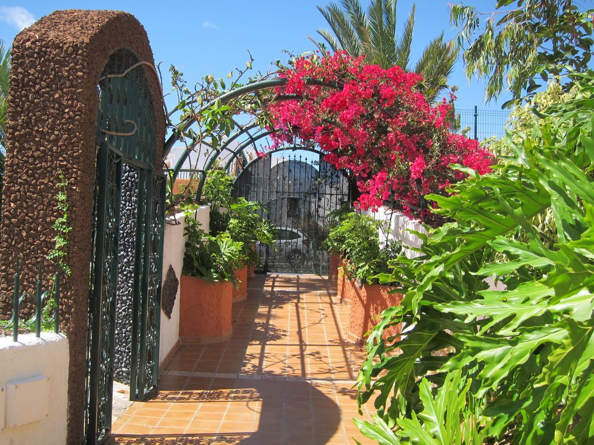 Apartamento Mi Casa Es Tu Casa En Tenerife
