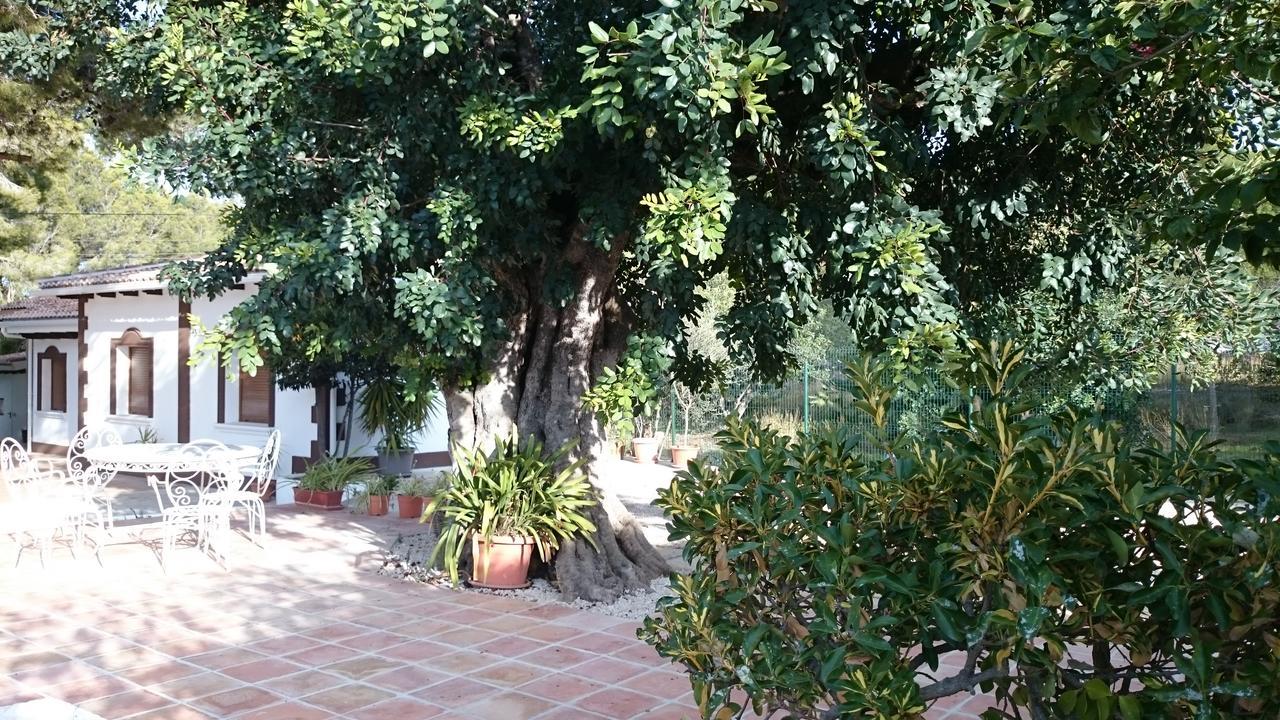 Chabola Holiday home *