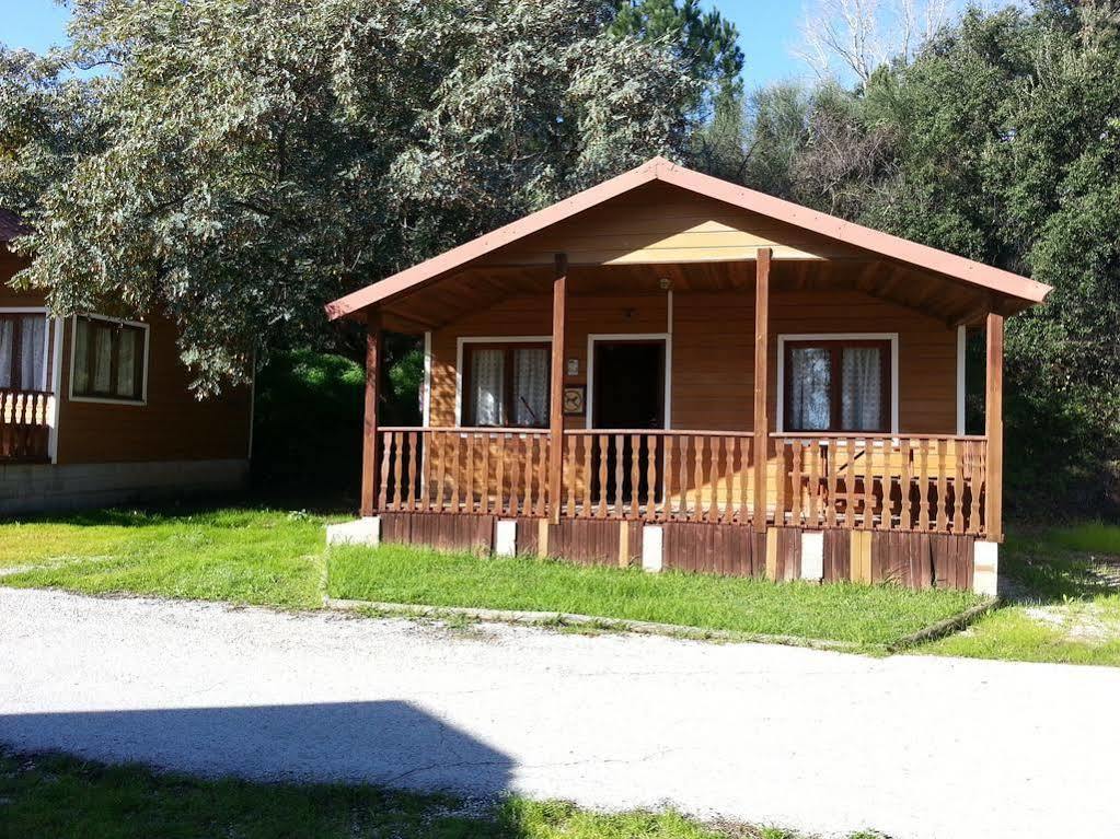 Campsite La Buganvilla 2*