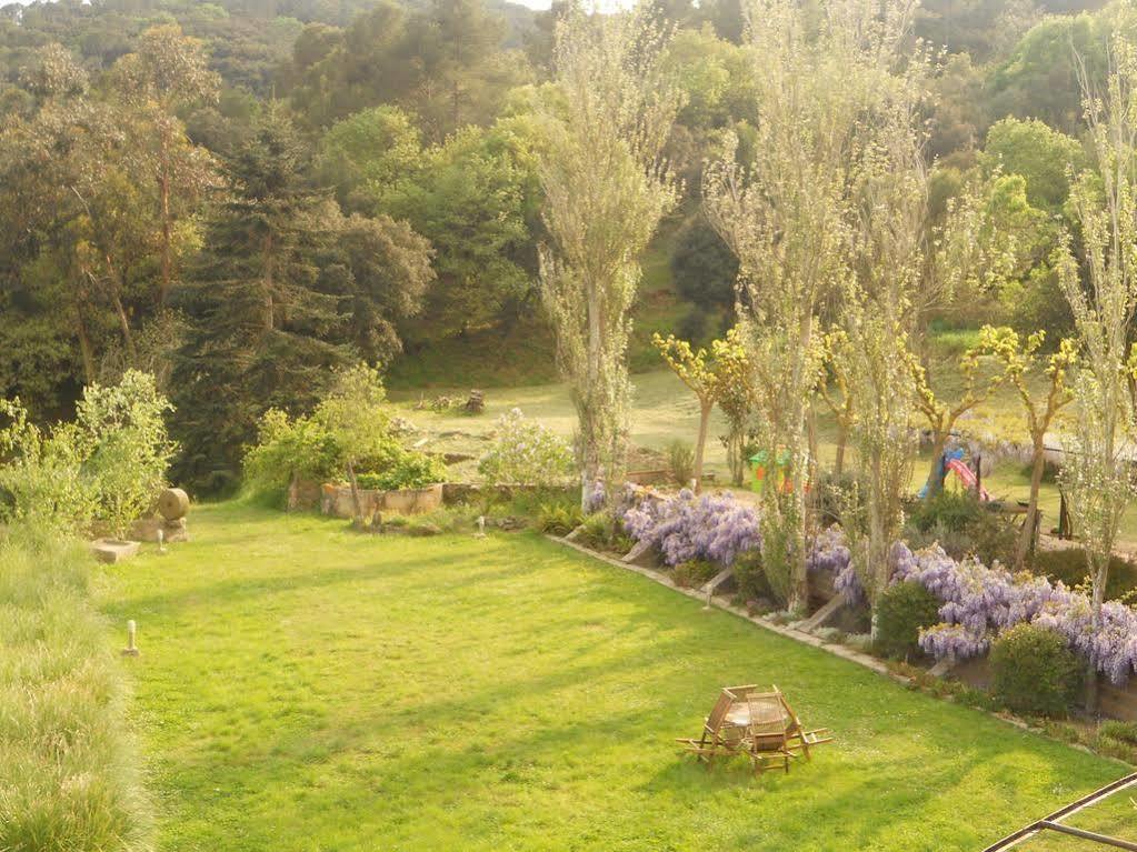 Rosich Santa Susanna