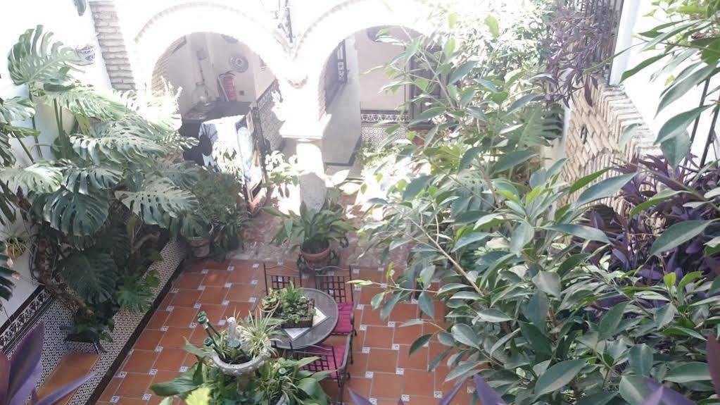 Guest house Arcos Cordoba