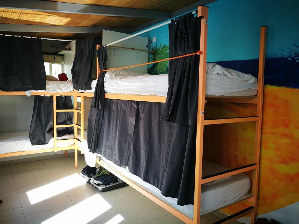 Pura Vida Palmas (adults Only) *
