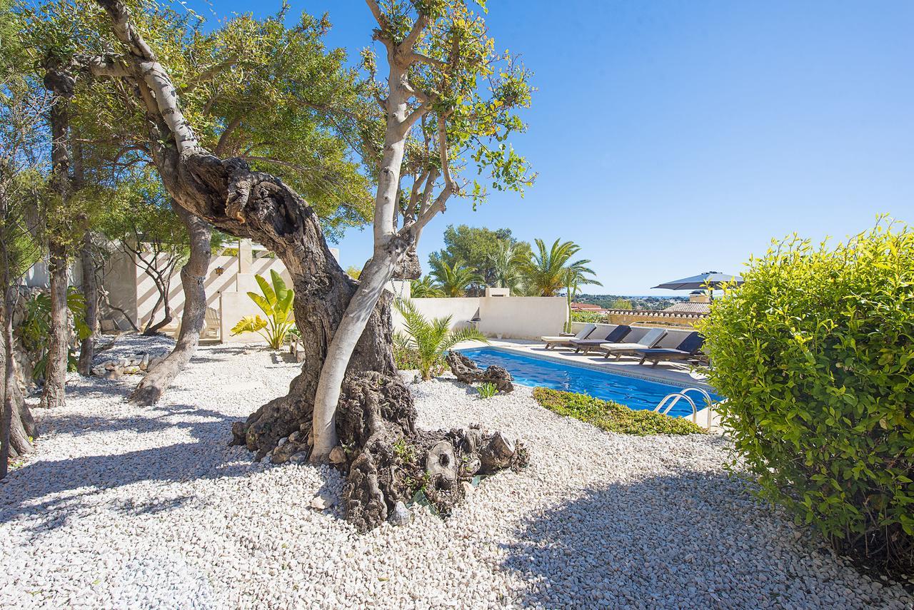 Benavero Boutique Style Within Fenced Tropical Garden *