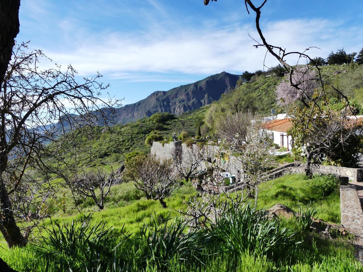 Mountain La Isa By Rose * Tejeda (Gran Canaria)