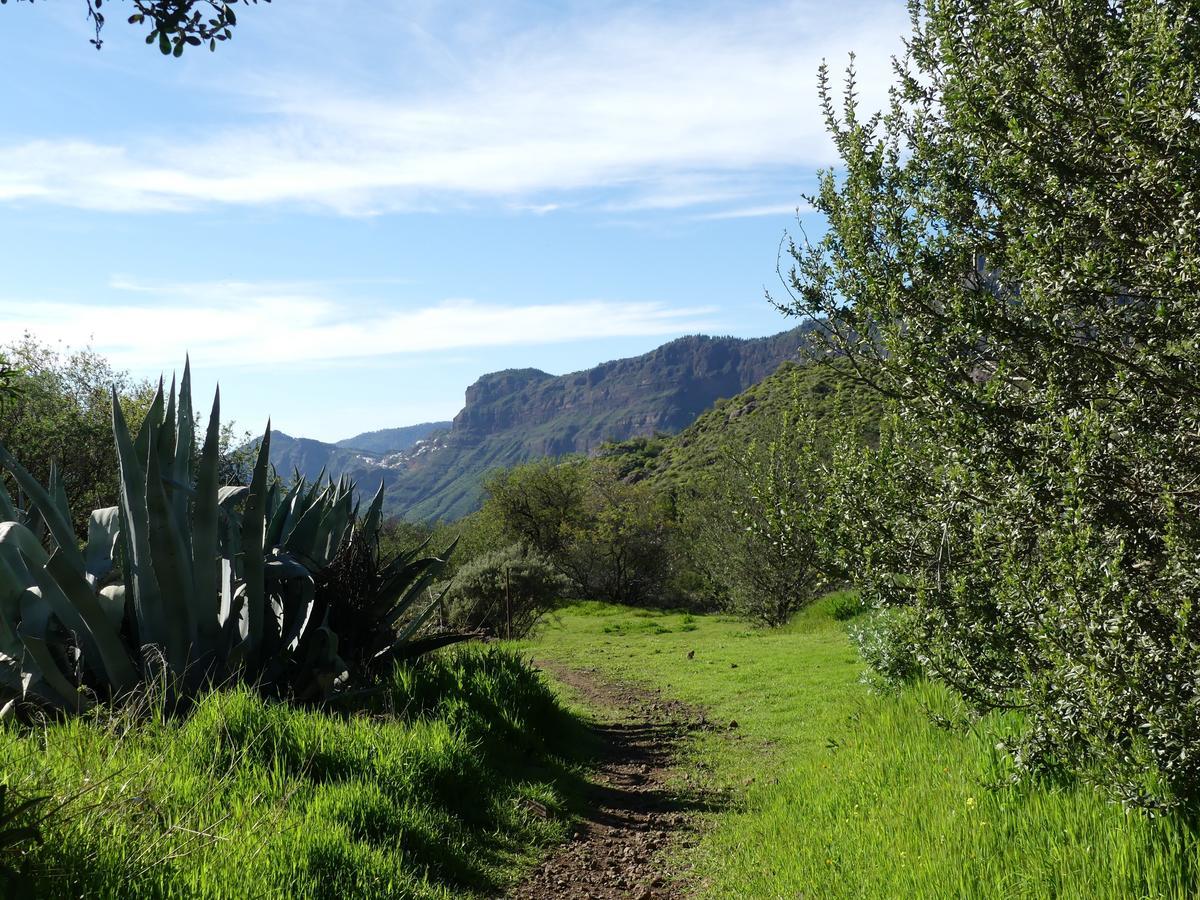 Mountain La Isa By Rose Tejeda (Gran Canaria)