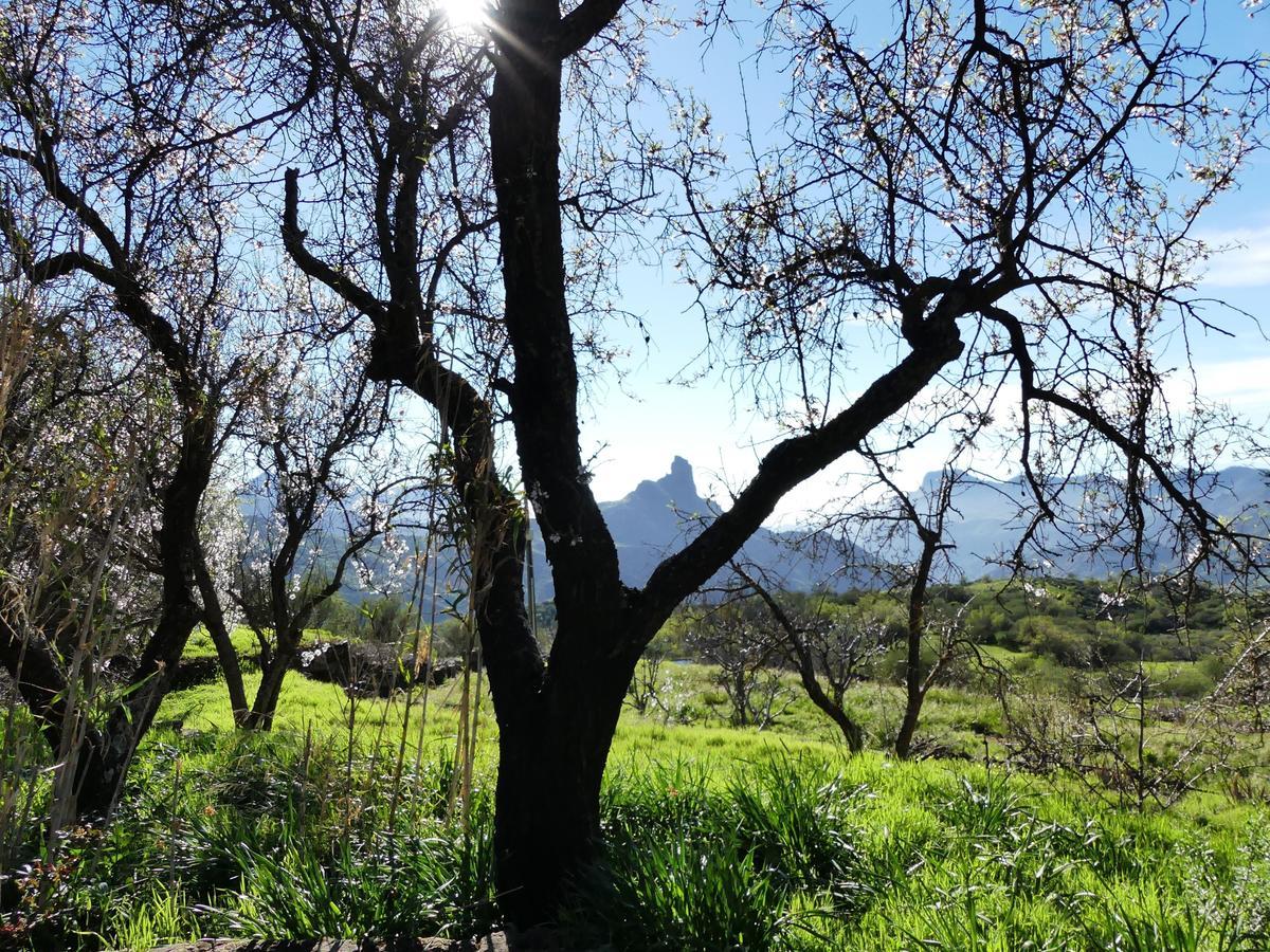 Hostal Mountain La Isa By Rose