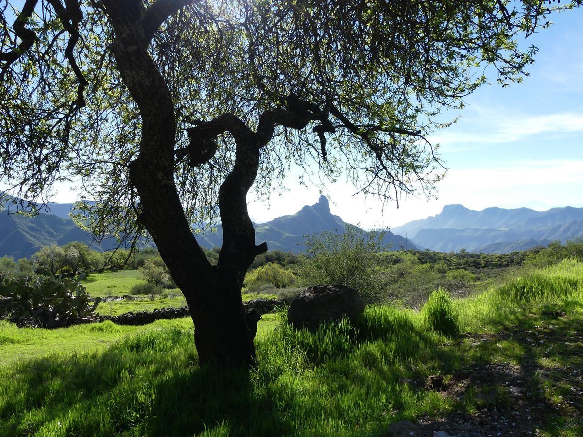 Mountain La Isa By Rose Hostal